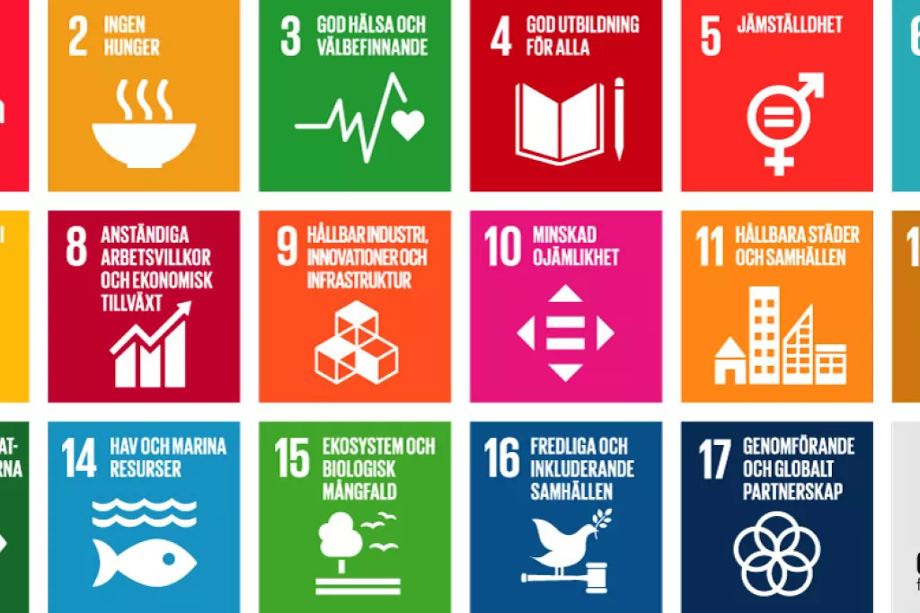 De 17 ikonerna för de globala målen för hållbar utveckling