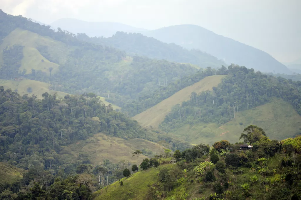 Landscape Caquetá