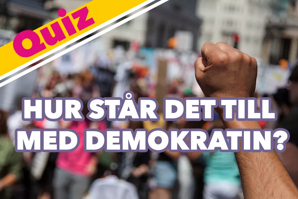 hur-står-det-till-med-demokratin-quiz-näve-i-luften