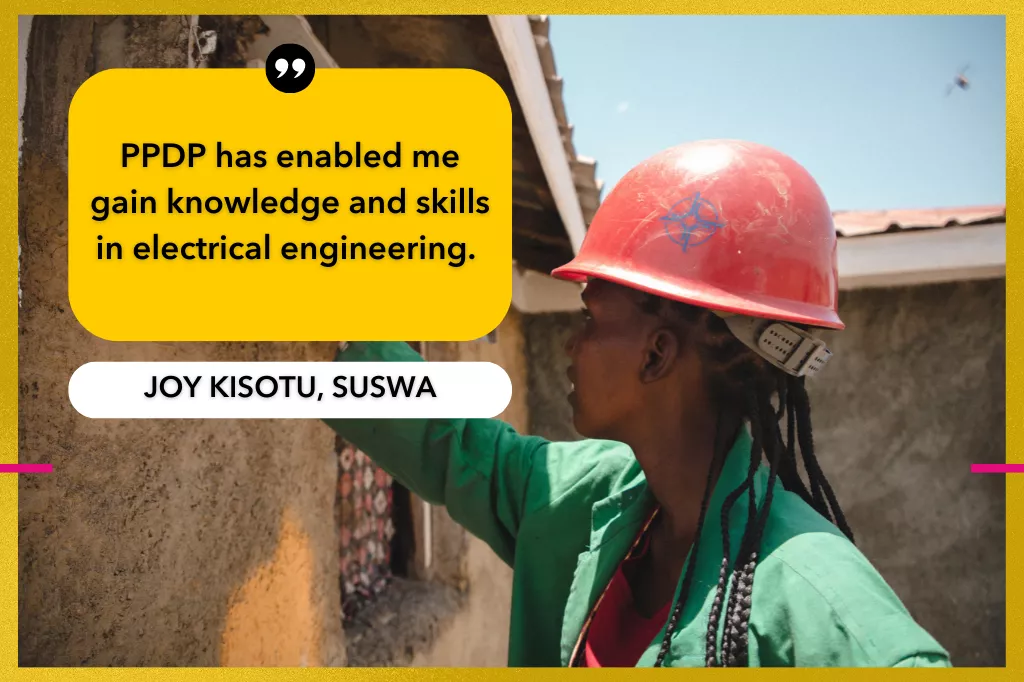 PPDP has enabled me gain knowledge and skills in electrical engineering