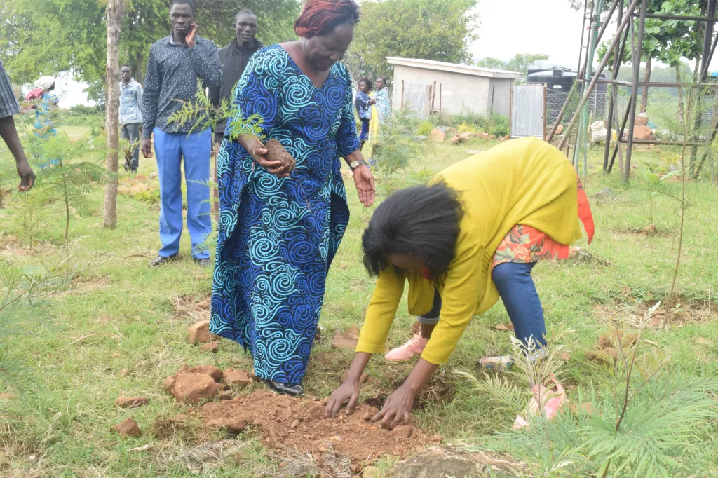 Tree Planting