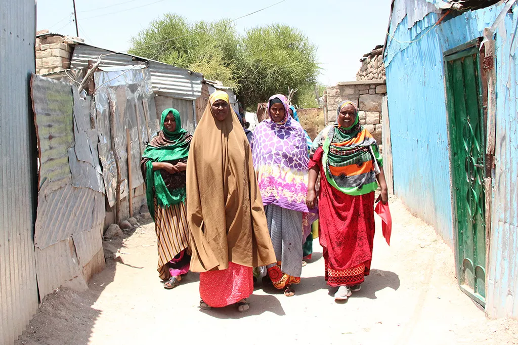 Hargeisa seed grant partner CCS. Women's rights and income generation