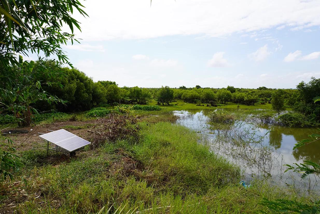 A view over Tonle Sap Biosphere Reserve.