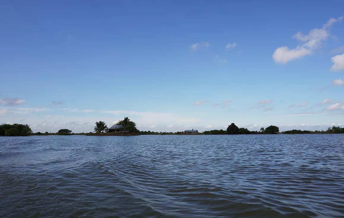 Picture taken from a boat on the water in Tonle Sap areas.