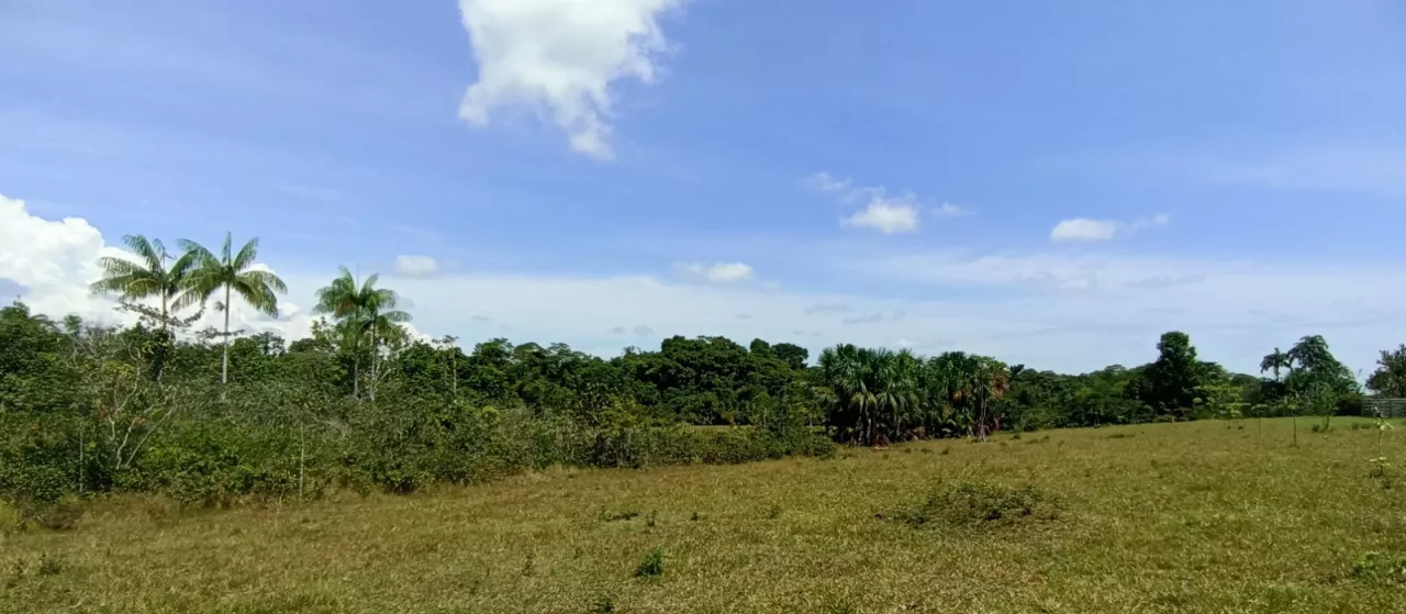 A view from Colombia