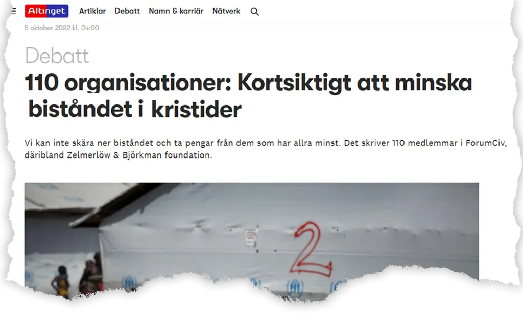 Screenshot of news article
