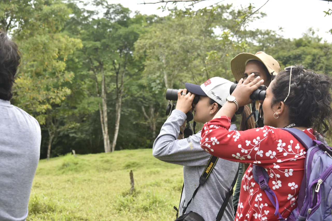 People with binoculars are watching birds in a forrest. 