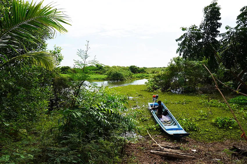 A view over the fish conservation area with a boat in the center.