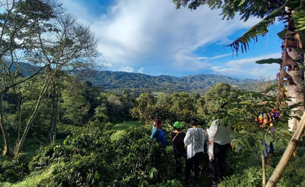 Women standing and looking out over coffee plantations in Huila.
