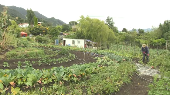 Asociación Red Agroecológica Campesina
