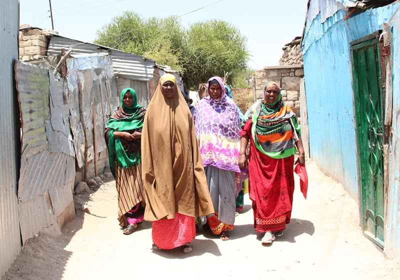 CCS, seed grant, Somaliland, women's rights, livelihood Thumbnail
