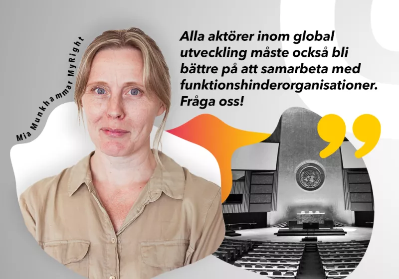 HLPF 2021 Miniatyr