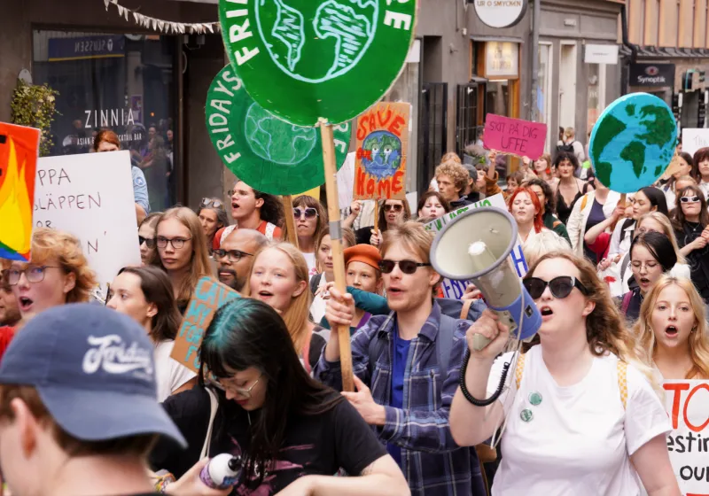 Bild på demonstranter under klimatstrejken i stockholm 22 september.